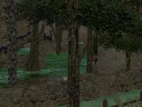 Attached Image: Find it.jpg