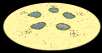 Attached Image: Saharan Oases.png
