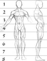 human_figure_8_heads_tall.jpg