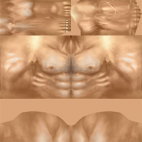 Attached Image: body.png