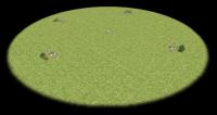 Attached Image: no forest.jpg