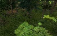 Attached Image: deep_wood-wood4.jpg