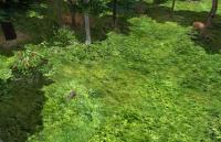 Attached Image: deep_wood-wood_border.jpg