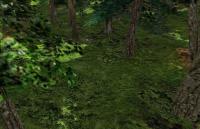 Attached Image: deep_wood-wood2.jpg