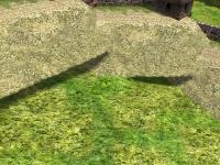 Attached Image: celtic_flying_wall.jpg