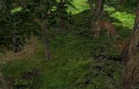 Attached Image: deep_wood-wood3.jpg