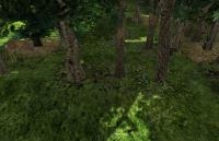 Attached Image: deep_wood-wood1.jpg