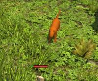 Attached Image: fauna_tiger.jpg