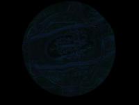 Attached Image: alesia2.jpg