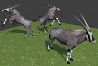 Oryx texture.jpg
