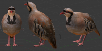 Attached Image: patridge_chukar.png
