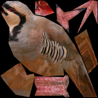Attached Image: partridge_texture_chukar_512.png