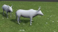 Attached Image: ox.jpg
